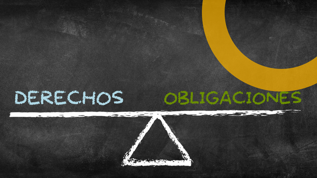 Obligaciones y Derechos del Propietario